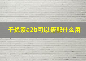 干扰素a2b可以搭配什么用