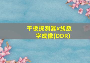 平板探测器x线数字成像(DDR)