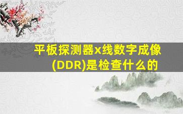 平板探测器x线数字成像(DDR)是检查什么的