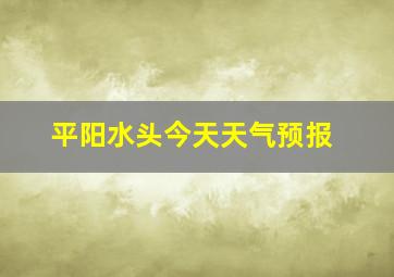 平阳水头今天天气预报