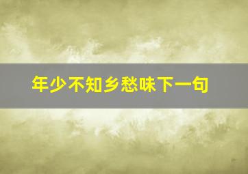 年少不知乡愁味下一句