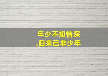 年少不知情深,归来已非少年