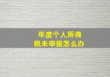 年度个人所得税未申报怎么办