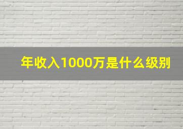 年收入1000万是什么级别