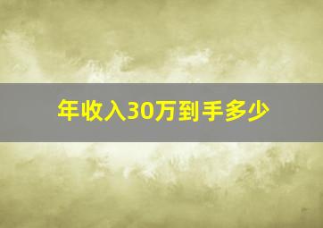 年收入30万到手多少