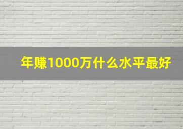 年赚1000万什么水平最好