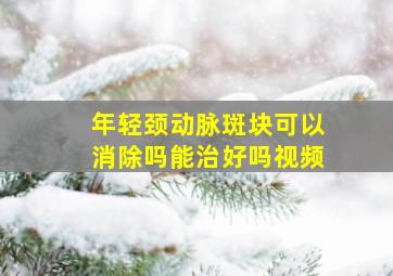 年轻颈动脉斑块可以消除吗能治好吗视频