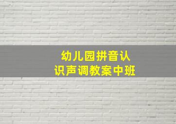 幼儿园拼音认识声调教案中班