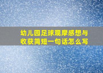 幼儿园足球观摩感想与收获简短一句话怎么写