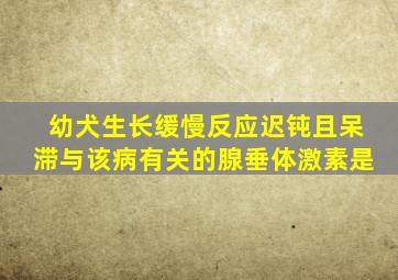 幼犬生长缓慢反应迟钝且呆滞与该病有关的腺垂体激素是