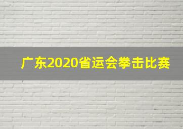 广东2020省运会拳击比赛