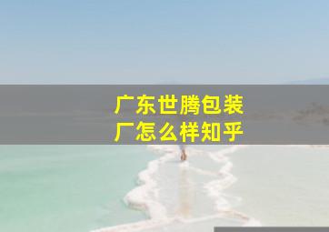 广东世腾包装厂怎么样知乎