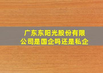 广东东阳光股份有限公司是国企吗还是私企