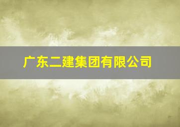 广东二建集团有限公司