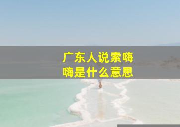 广东人说索嗨嗨是什么意思