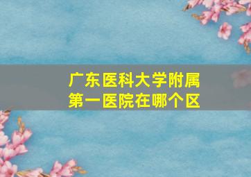 广东医科大学附属第一医院在哪个区