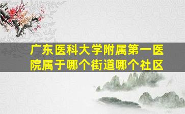 广东医科大学附属第一医院属于哪个街道哪个社区