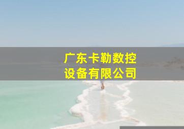 广东卡勒数控设备有限公司