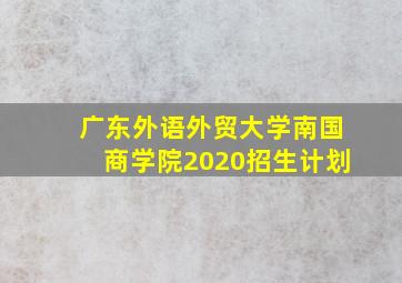 广东外语外贸大学南国商学院2020招生计划