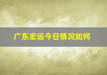 广东宏远今日情况如何