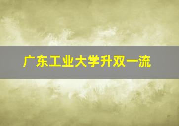 广东工业大学升双一流