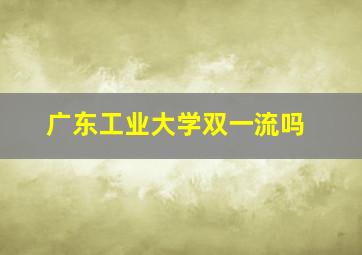 广东工业大学双一流吗