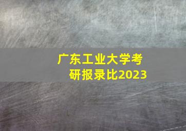 广东工业大学考研报录比2023