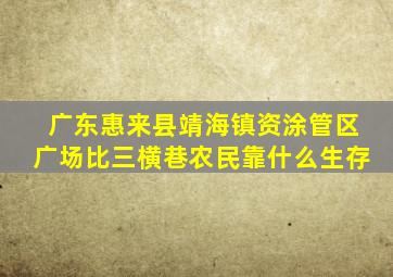 广东惠来县靖海镇资涂管区广场比三横巷农民靠什么生存