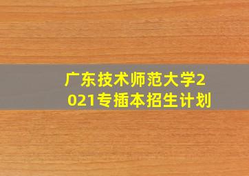 广东技术师范大学2021专插本招生计划