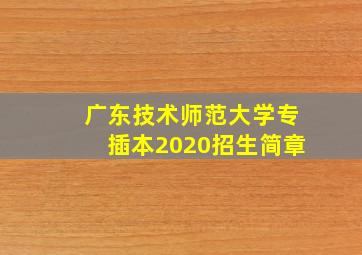 广东技术师范大学专插本2020招生简章