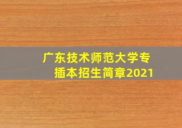 广东技术师范大学专插本招生简章2021