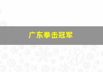 广东拳击冠军