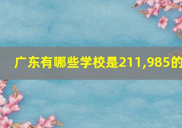 广东有哪些学校是211,985的