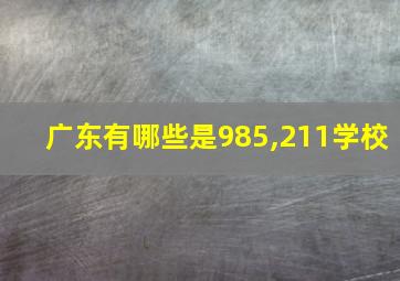 广东有哪些是985,211学校