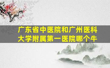 广东省中医院和广州医科大学附属第一医院哪个牛