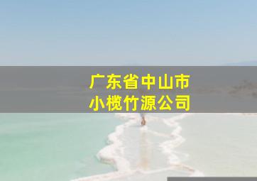 广东省中山市小榄竹源公司