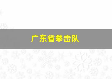 广东省拳击队