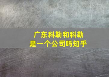 广东科勒和科勒是一个公司吗知乎