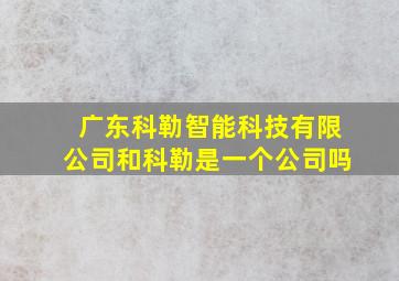 广东科勒智能科技有限公司和科勒是一个公司吗