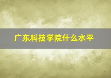 广东科技学院什么水平