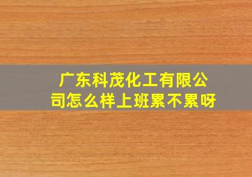 广东科茂化工有限公司怎么样上班累不累呀