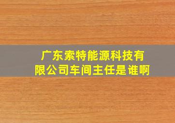 广东索特能源科技有限公司车间主任是谁啊