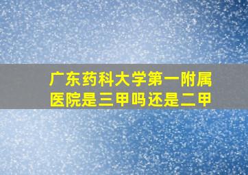 广东药科大学第一附属医院是三甲吗还是二甲