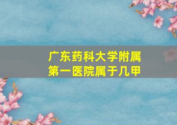 广东药科大学附属第一医院属于几甲