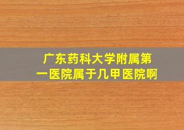 广东药科大学附属第一医院属于几甲医院啊