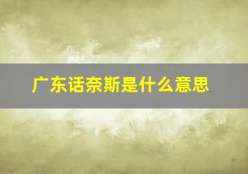 广东话奈斯是什么意思