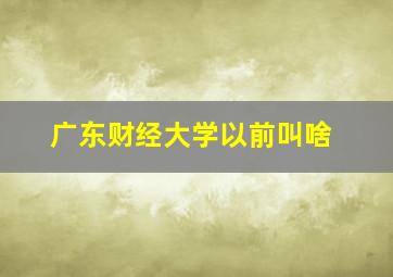 广东财经大学以前叫啥