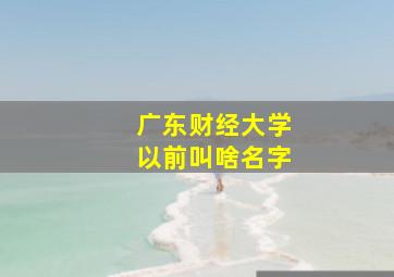 广东财经大学以前叫啥名字