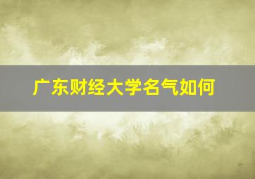 广东财经大学名气如何