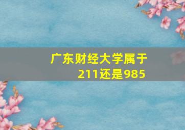 广东财经大学属于211还是985